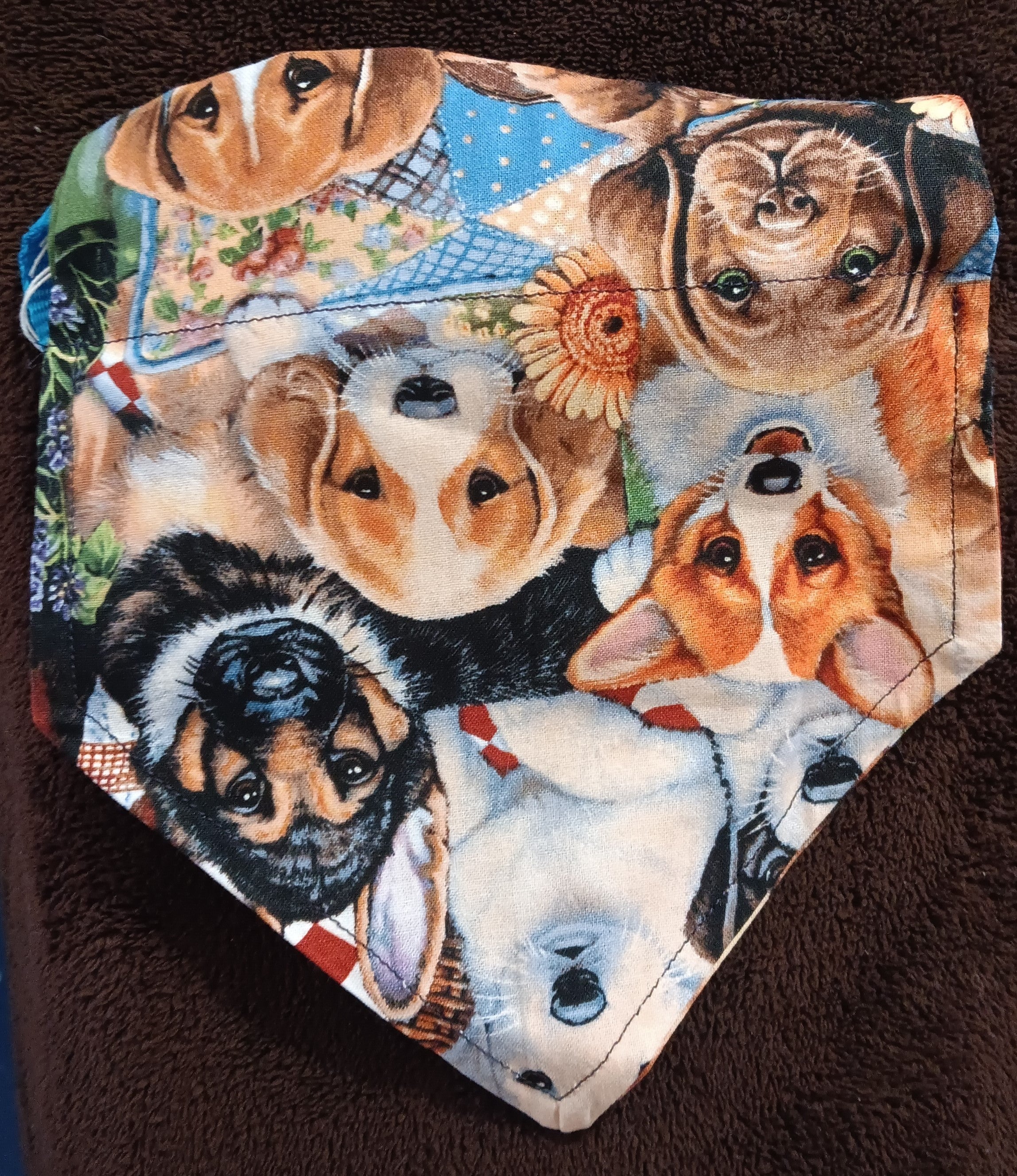 Small dog collar-Dog Breeds Print